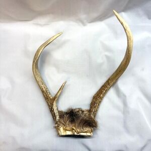 Unbranded Deer Antler Skull Plate Unisex OS Brown Good 4 Point Rack Vintage